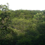 IMG_0014.JPG