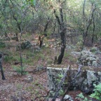 IMG_0051.JPG